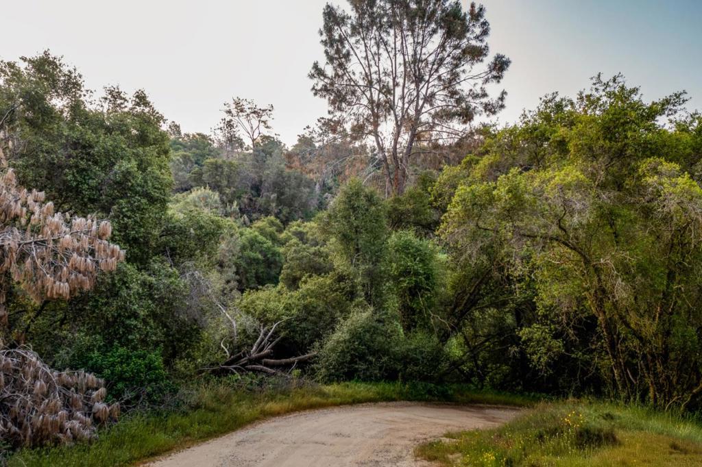 13804205 Pennyroyal Lane Property Photo 9