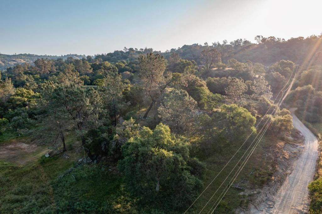 13804205 Pennyroyal Lane Property Photo 10