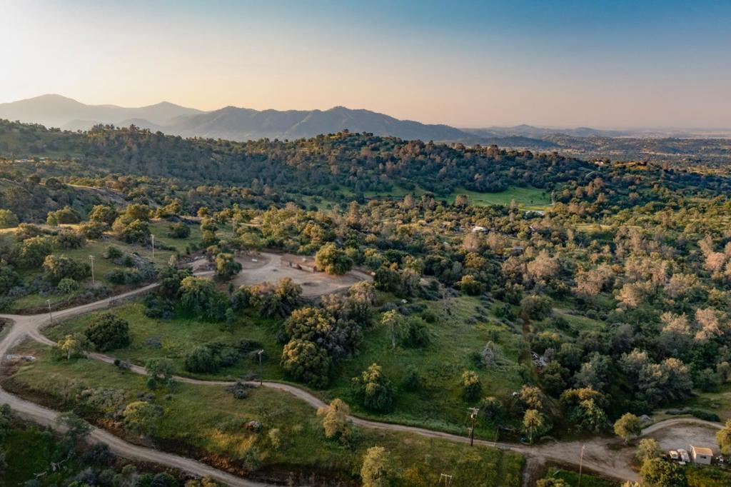 13804205 Pennyroyal Lane Property Photo 13