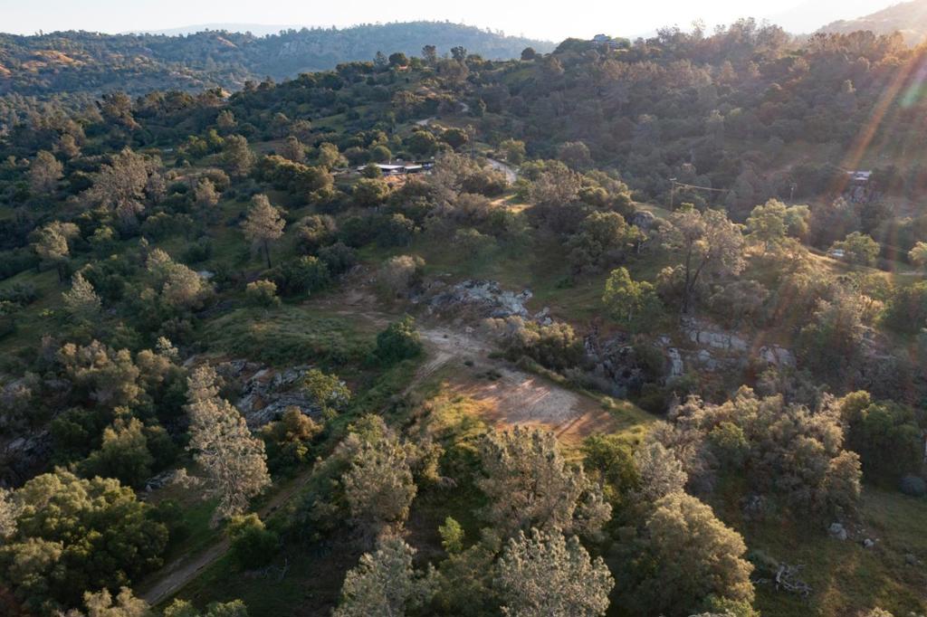 13804205 Pennyroyal Lane Property Photo 17