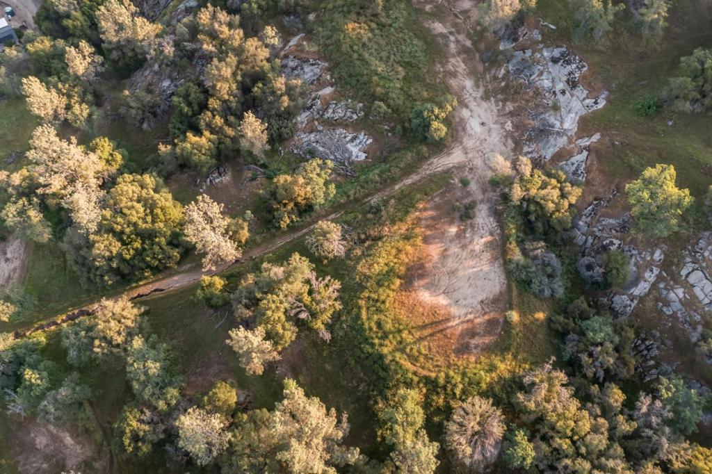 13804205 Pennyroyal Lane Property Photo 19