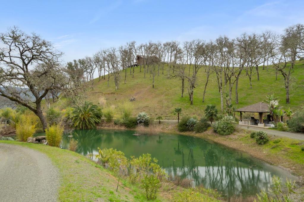 1525 Headlands Drive Property Photo 33