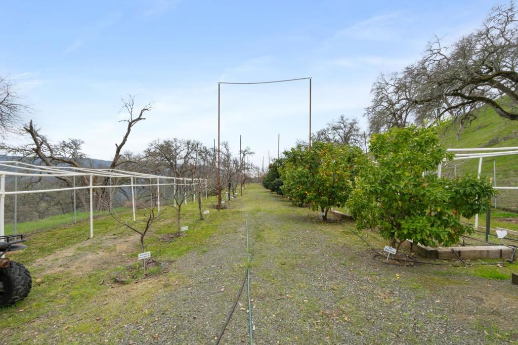 1525 Headlands Drive Property Photo 66