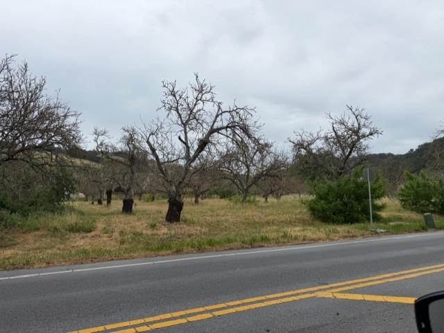 ML82040982 Property Photo 4