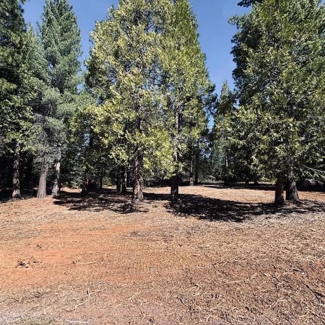 806 Red River Drive Property Photo 2
