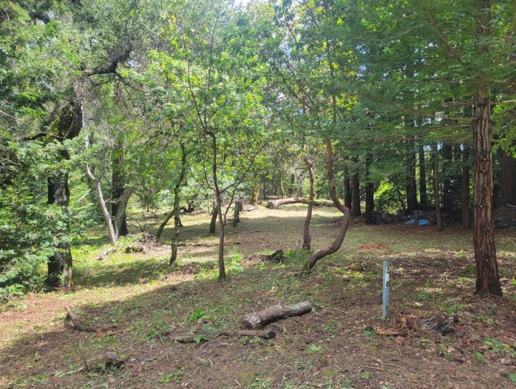 ML82041164 Property Photo 1
