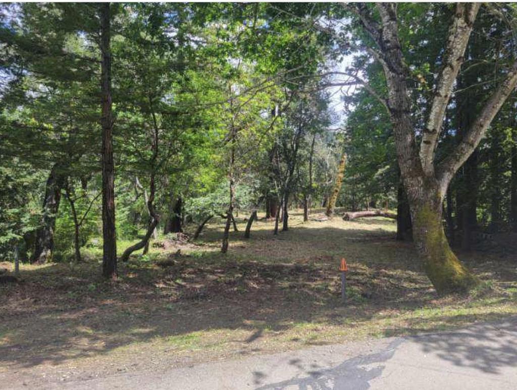 ML82041164 Property Photo 3
