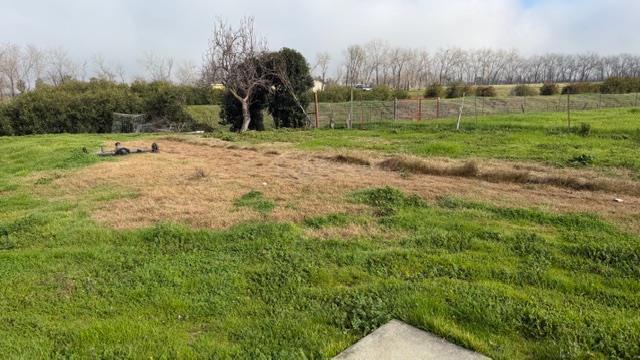 8340 Mcclure Avenue Property Photo 30