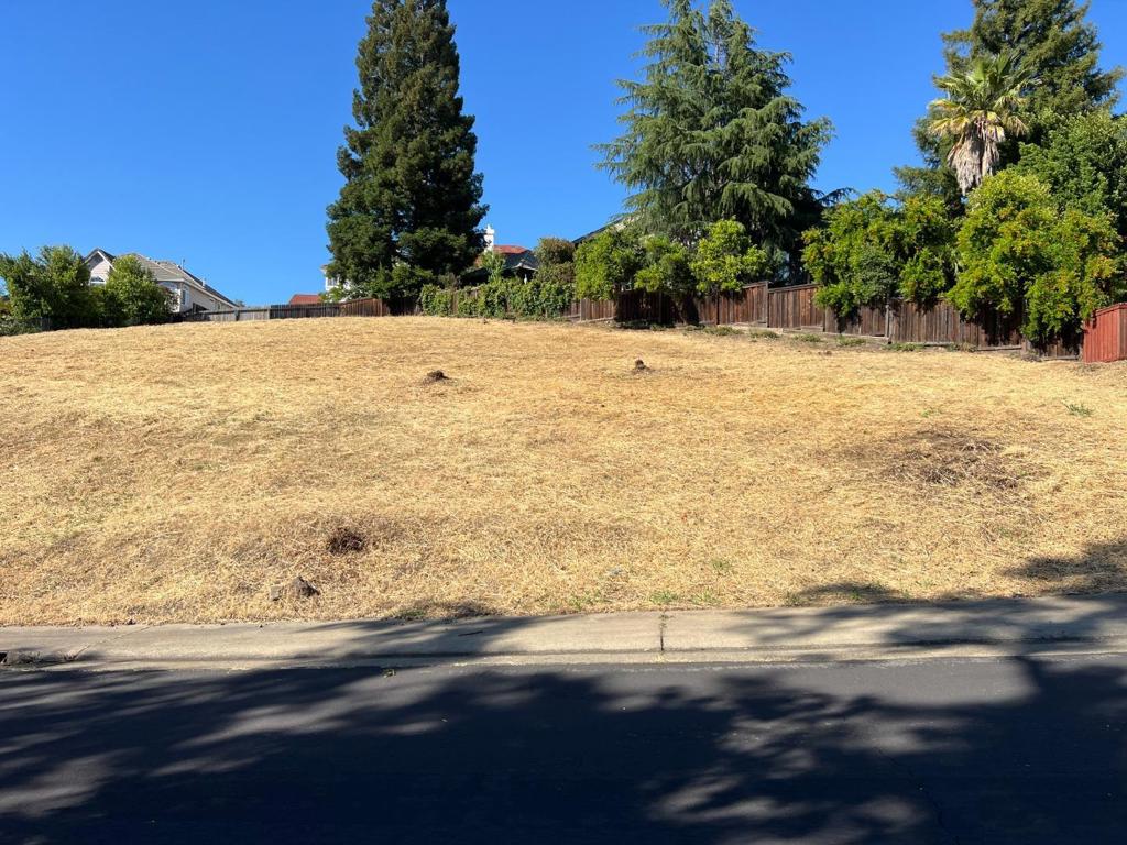 102 Black Gold Lane Property Photo 8