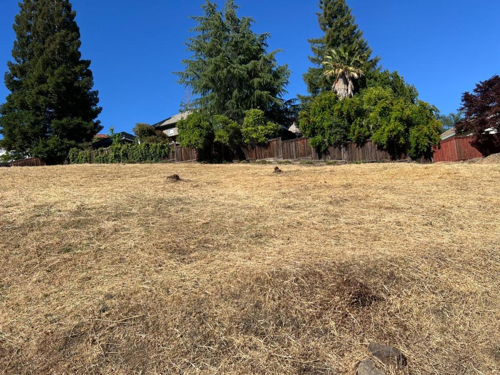 102 Black Gold Lane Property Photo 11