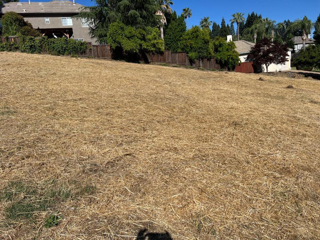 102 Black Gold Lane Property Photo 13