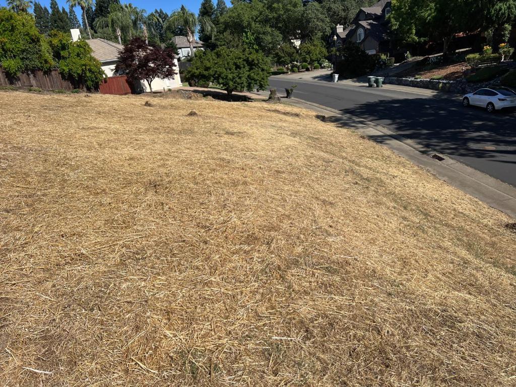 102 Black Gold Lane Property Photo 14