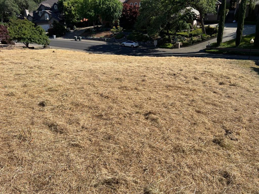 102 Black Gold Lane Property Photo 17