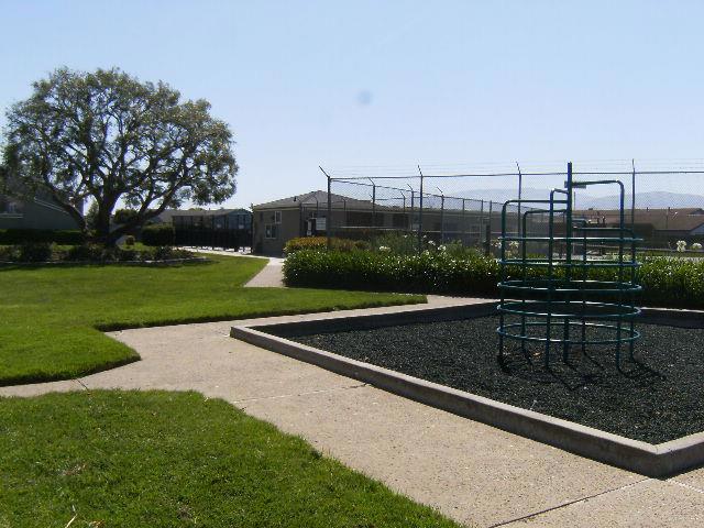 1253 Los Olivos Drive 5 Property Photo 32