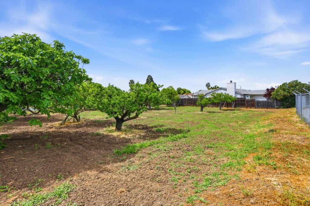 3641 Mckee Road Property Photo 46