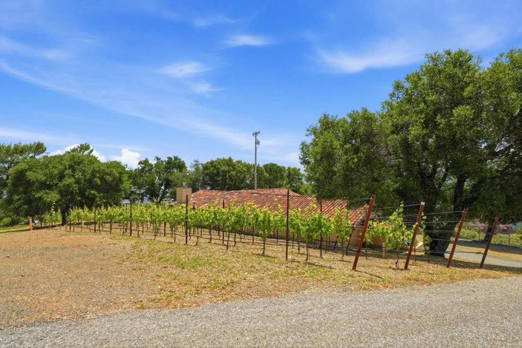 19534 Montevina Road Property Photo 83