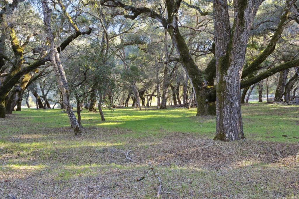 11 Arroyo Sequoia Property Photo 2