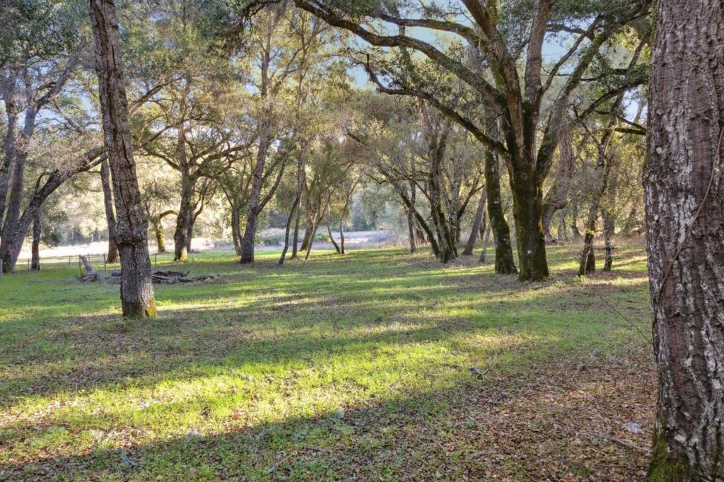 11 Arroyo Sequoia Property Photo 3