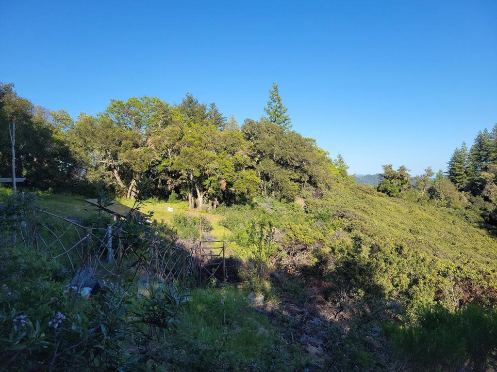 Skyview Ridge Road Property Photo 32