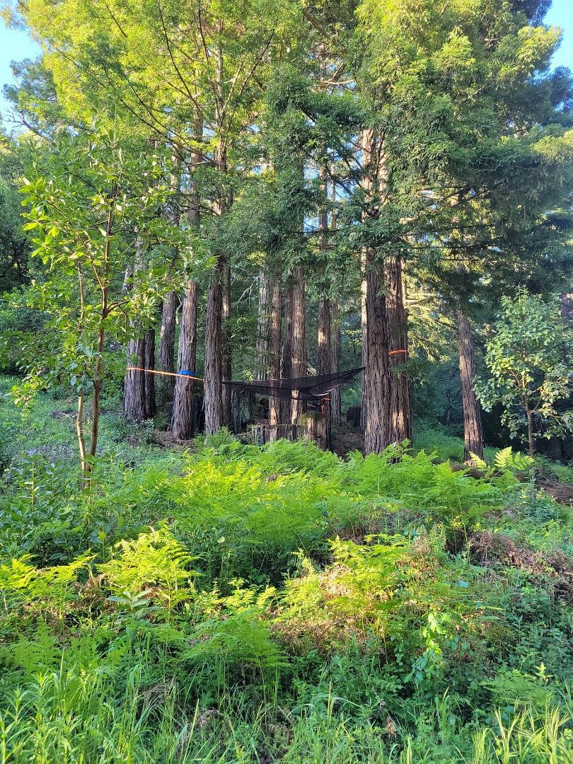 Skyview Ridge Road Property Photo 33