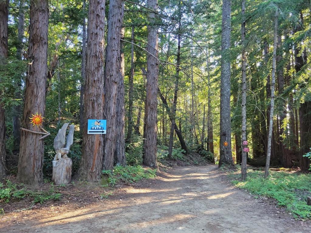 Skyview Ridge Road Property Photo 35