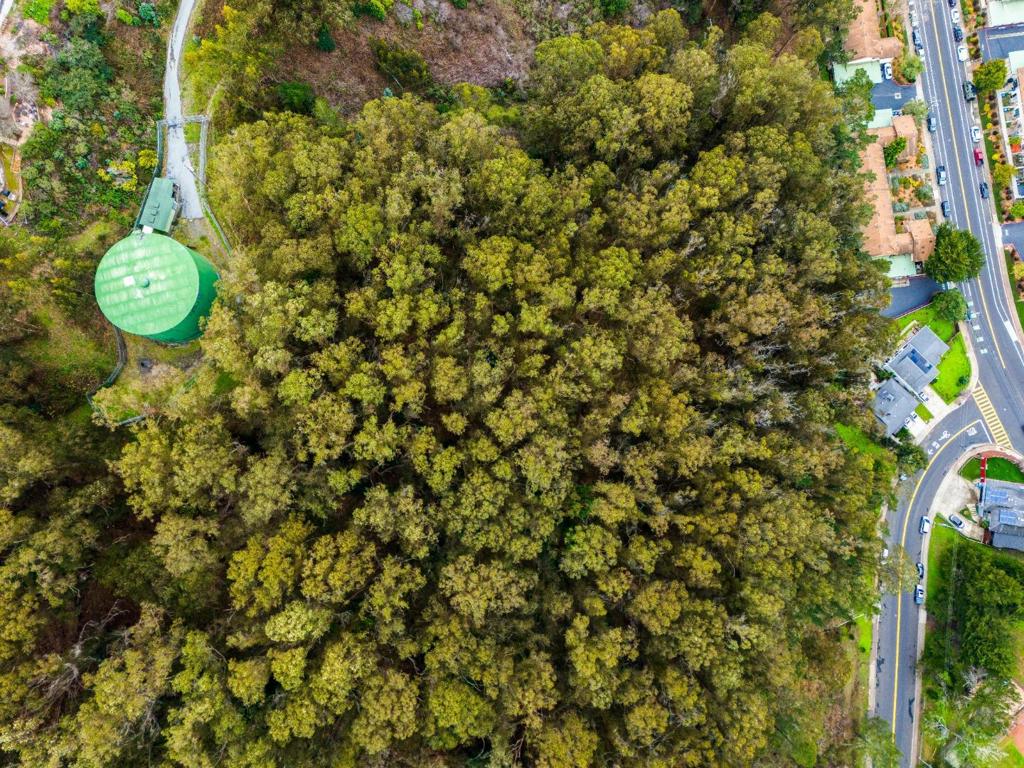 0 Everglades Property Photo 14
