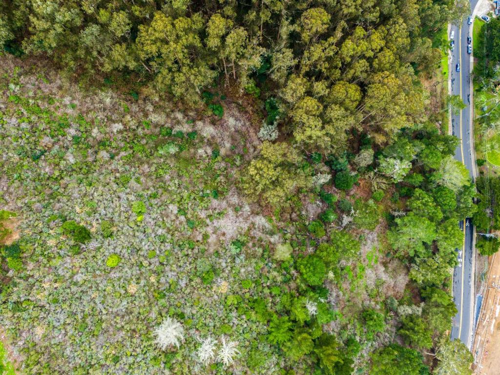 0 Everglades Property Photo 15