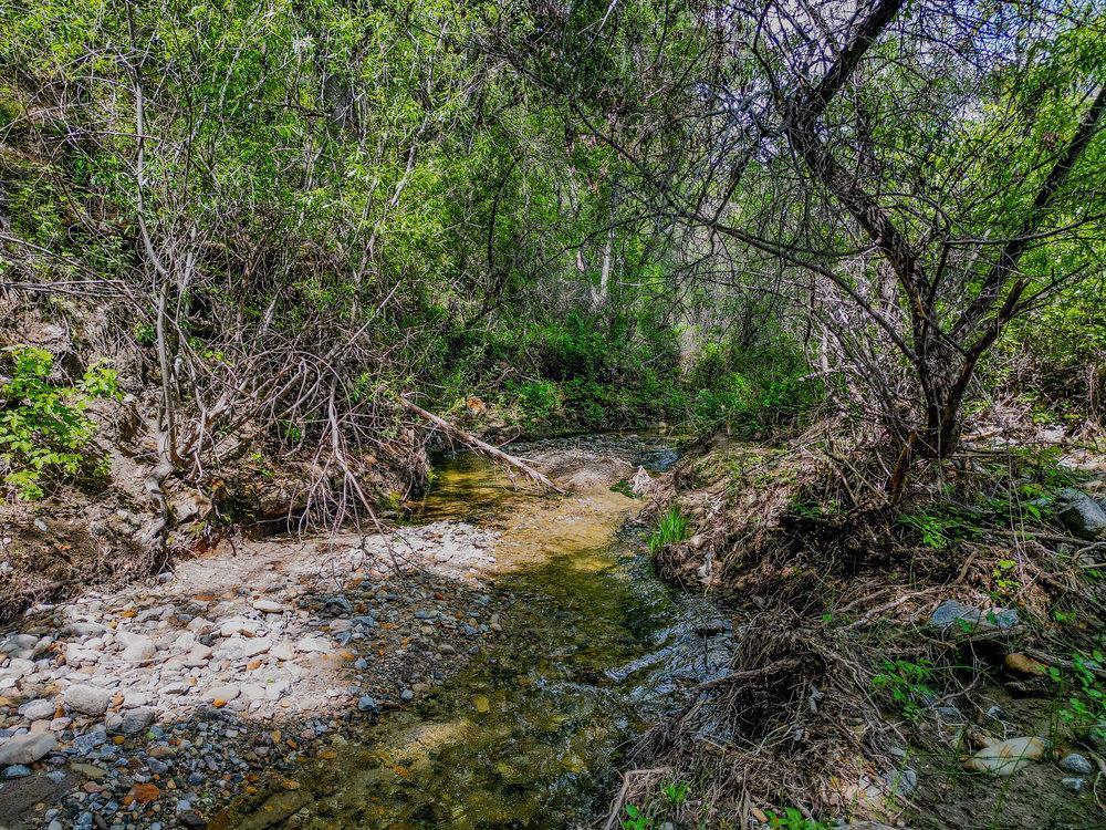 43575 Carmel Valley Road Property Photo 1