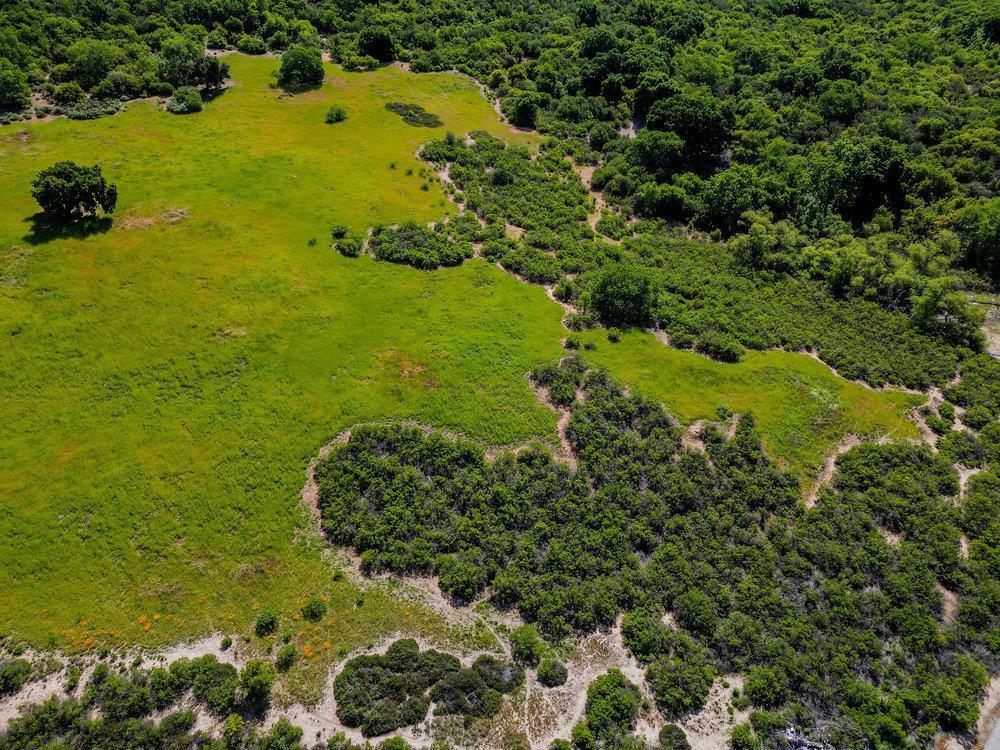 43575 Carmel Valley Road Property Photo 3