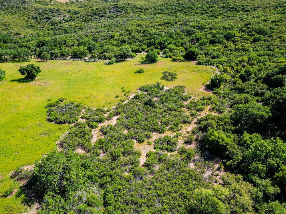 43575 Carmel Valley Road Property Photo 6