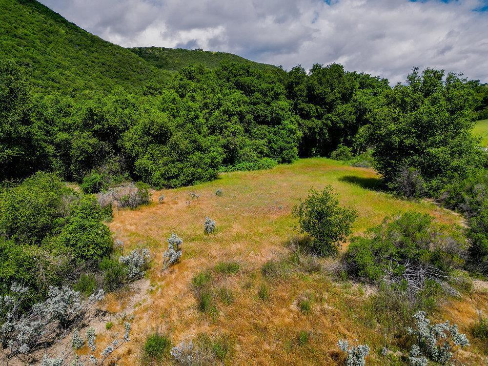 43575 Carmel Valley Road Property Photo 17