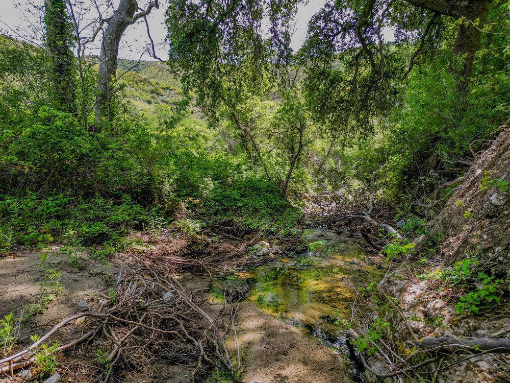 43575 Carmel Valley Road Property Photo 19