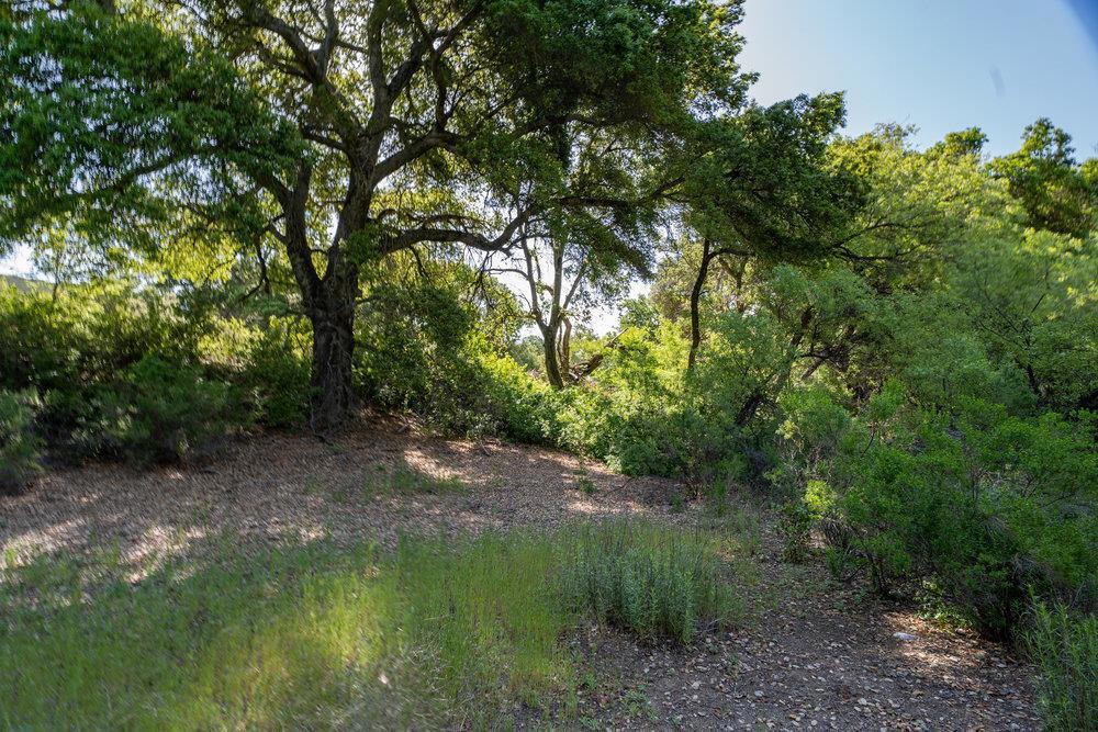 43575 Carmel Valley Road Property Photo 20