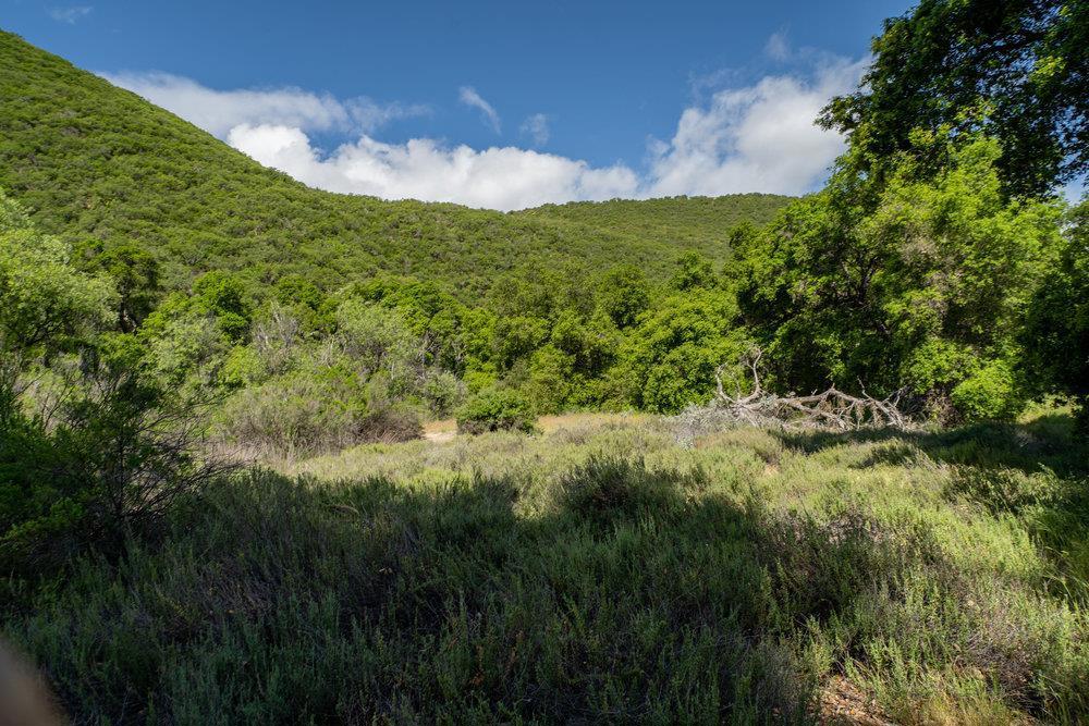 43575 Carmel Valley Road Property Photo 21