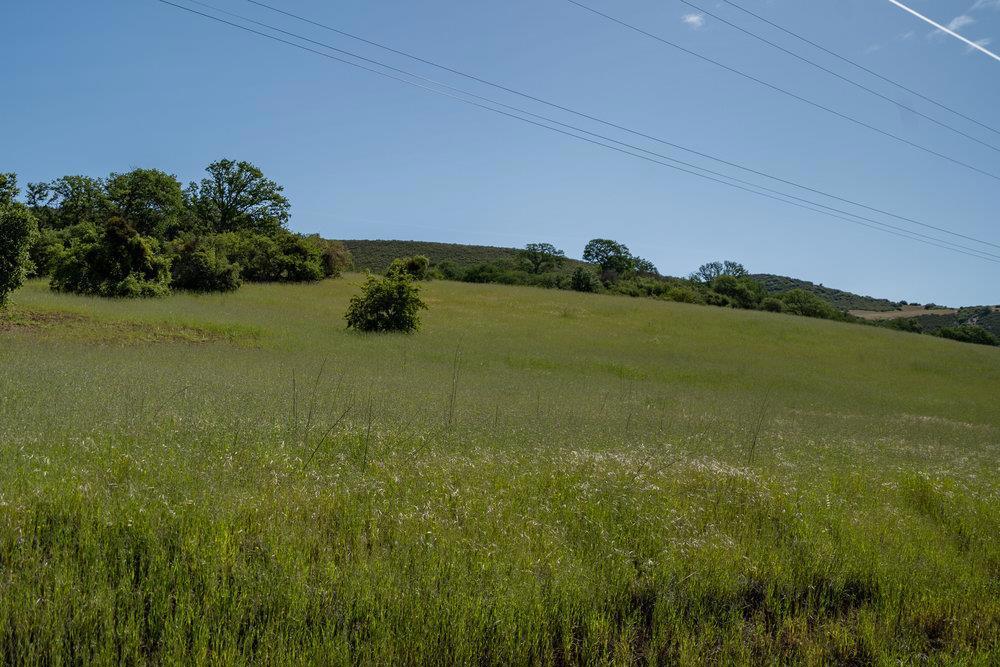 43575 Carmel Valley Road Property Photo 24