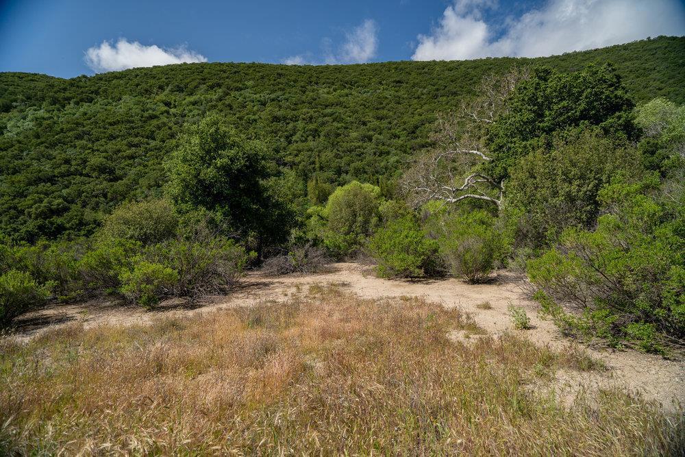 43575 Carmel Valley Road Property Photo 25