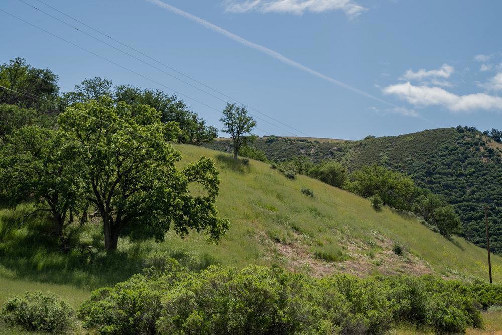 43575 Carmel Valley Road Property Photo 26