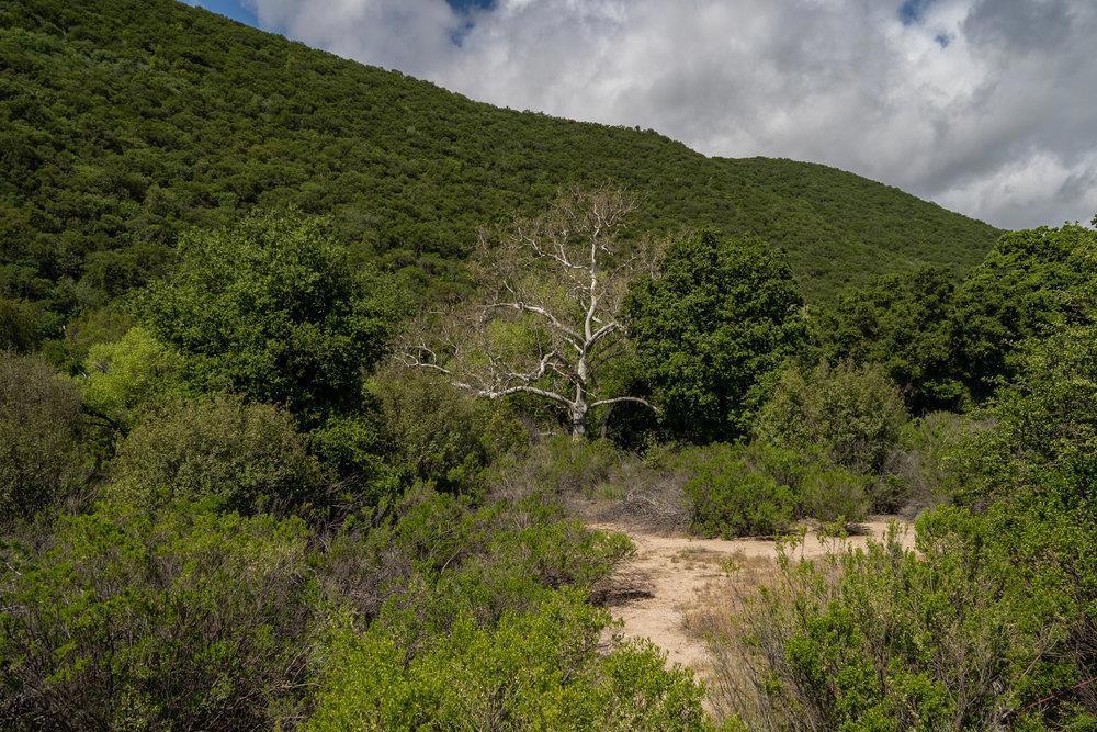 43575 Carmel Valley Road Property Photo 28