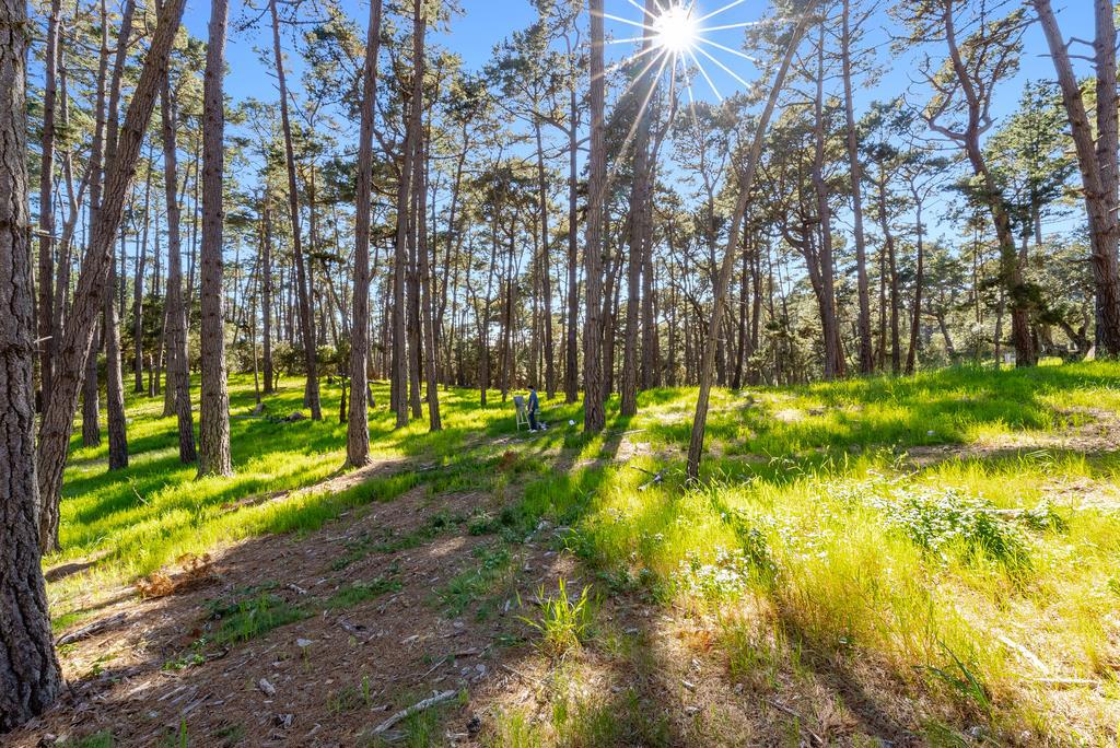 4192 Sunridge Road Property Photo 35