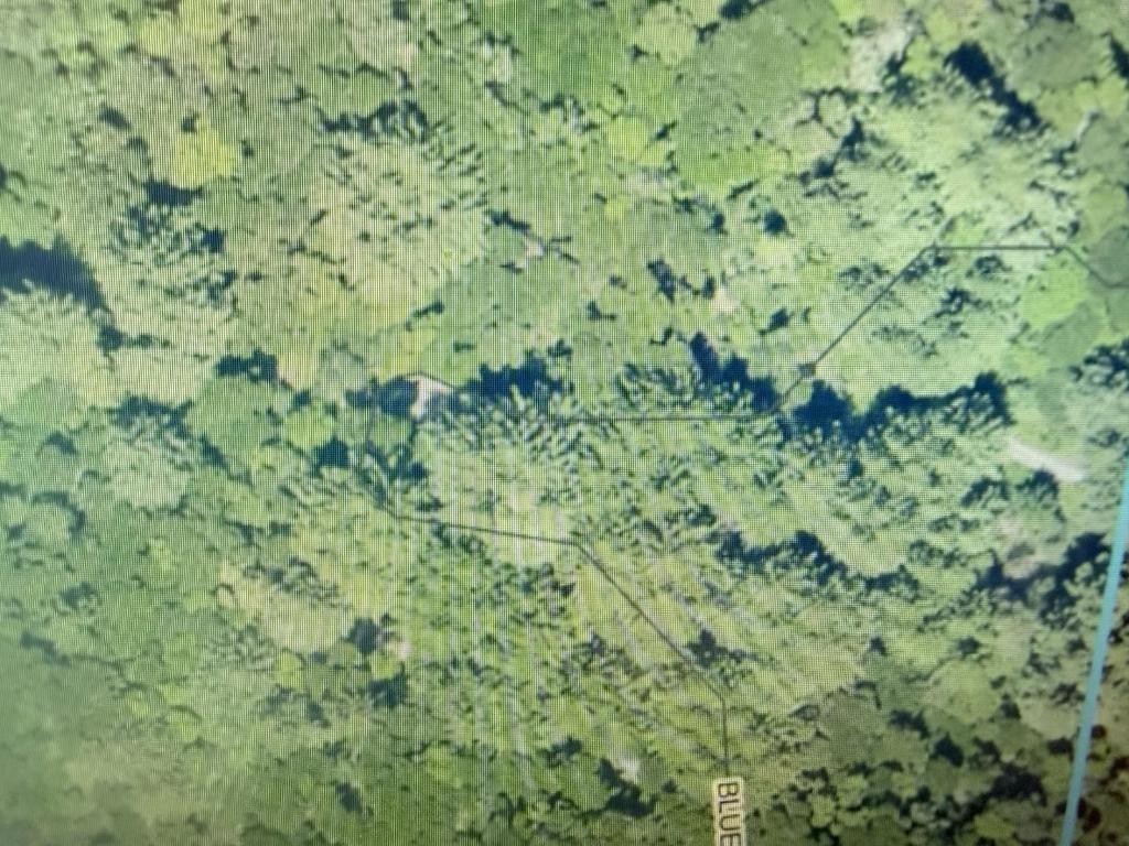 7517202 Vacant Land (apn 075-172-02) Property Photo 2