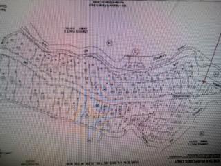 7517202 Vacant Land (apn 075-172-02) Property Photo 4