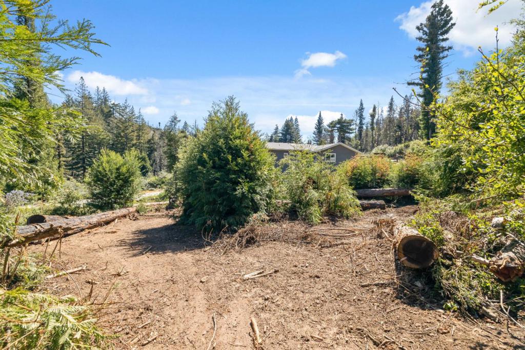 122 Cypress Tree Lane Property Photo 9