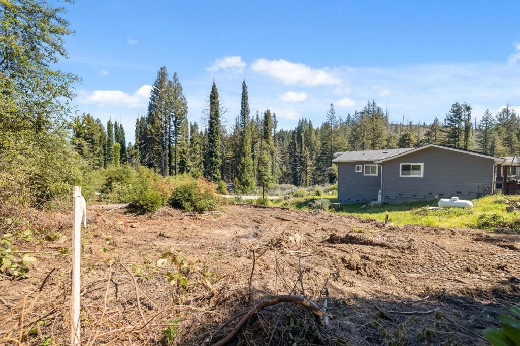 122 Cypress Tree Lane Property Photo 10