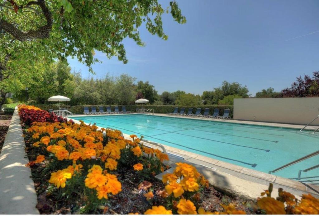 7305 Via Granja Property Photo 32