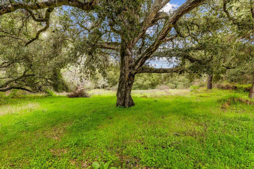 28750 Underwood Road Property Photo 21