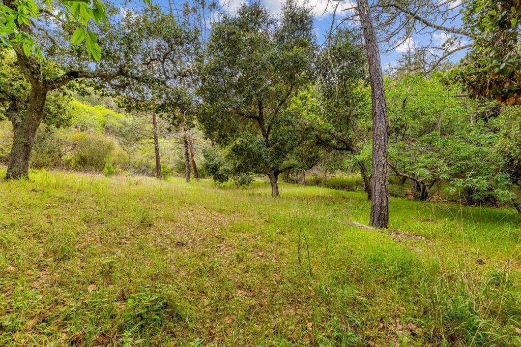 28750 Underwood Road Property Photo 23