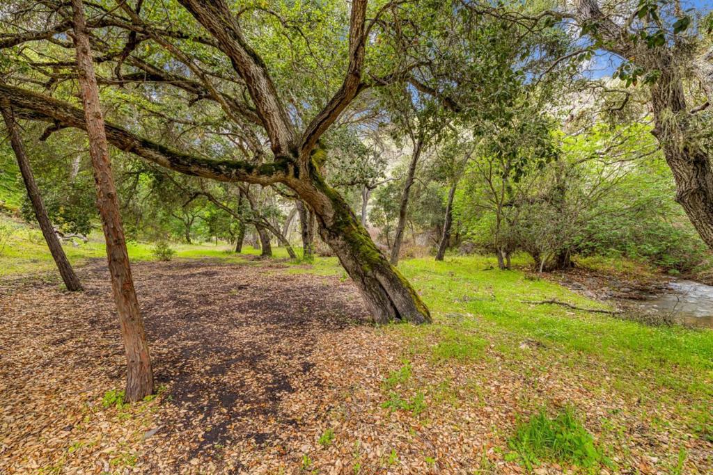 28750 Underwood Road Property Photo 27