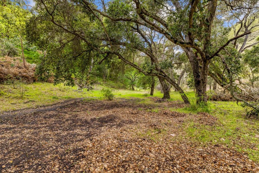 28750 Underwood Road Property Photo 28