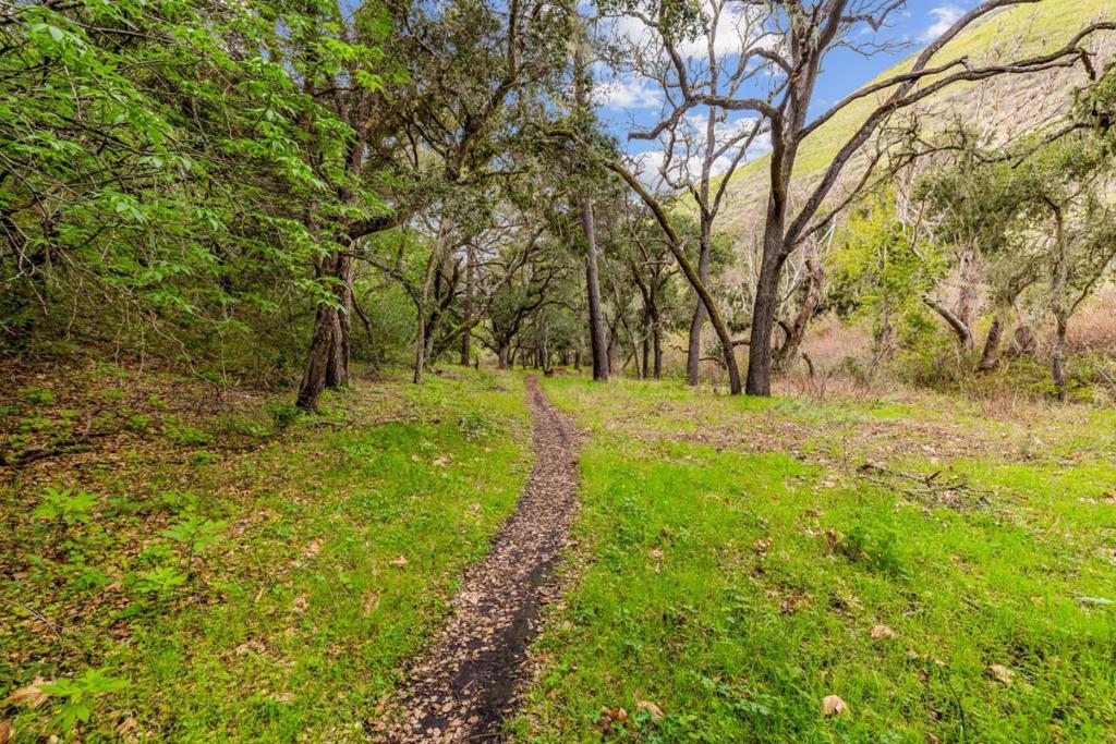28750 Underwood Road Property Photo 29