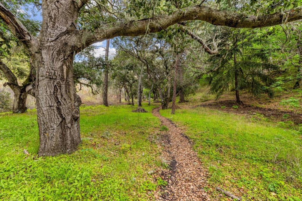 28750 Underwood Road Property Photo 36